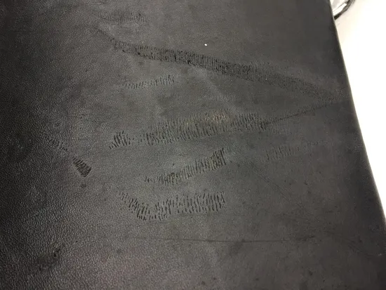 Sissy Bar 2002 Harley-Davidson Electra Glide Police EFI FLHTPI 2366 x