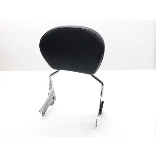 Sissy Bar 2002 Harley-Davidson Electra Glide Police EFI FLHTPI 2366 x