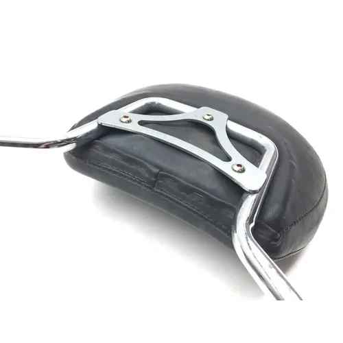 Sissy Bar 2002 Harley-Davidson Electra Glide Police EFI FLHTPI 2366 x 7
