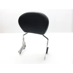 Sissy Bar 2002 Harley-Davidson Electra Glide Police EFI FLHTPI 2366 x