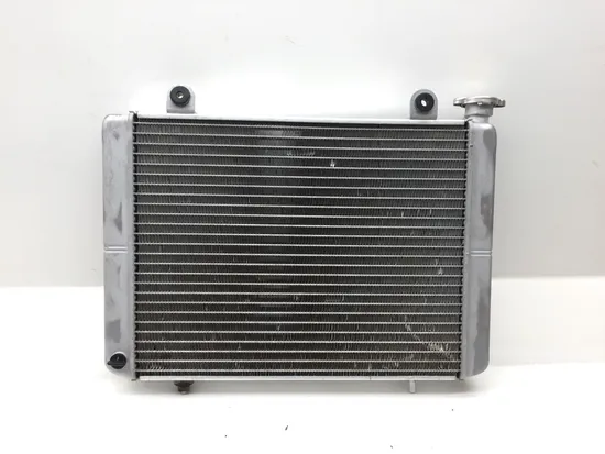 Engine Radiator Cooling 2010 Polaris Ranger Crew 800 4x4 EFI 2426