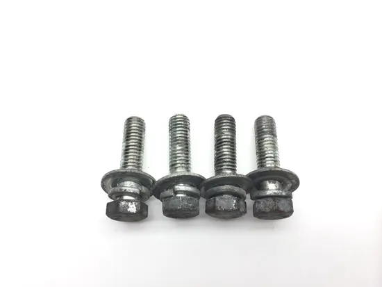 Shock Bolts 2004 Harley-Davidson Electra Glide Classic EFI FLHTCI 2384