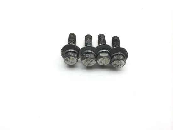 Shock Bolts 2001 Harley-Davidson Road King Police EFI FLHPI 2385