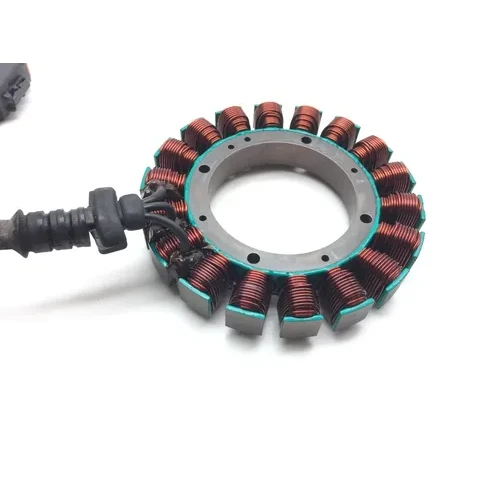 Engine Stator Generator 02 Harley-Davidson Heritage Softail Classic FLSTC 2406 3