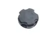 Gas Fuel Tank Cap 2012 Polaris RZR 800 EFI 2437