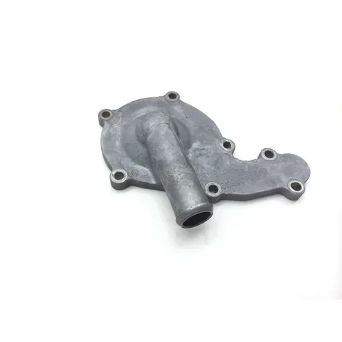 Engine Water Pump Cover 2008 Polaris RZR 800 EFI 2431 7