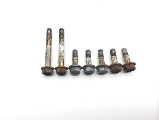 Engine Water Pump Cover 2008 Polaris RZR 800 EFI 2431