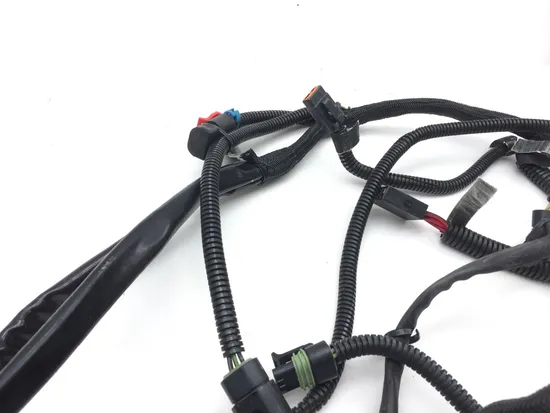 Main Engine Wiring Harness 2002 Harley-Davidson V-Rod VRSCA 2443 x