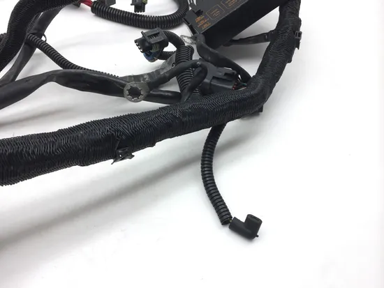 Main Engine Wiring Harness 2002 Harley-Davidson V-Rod VRSCA 2443 x