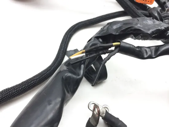 Main Engine Wiring Harness 2002 Harley-Davidson V-Rod VRSCA 2443 x