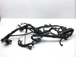 Main Engine Wiring Harness 2002 Harley-Davidson V-Rod VRSCA 2443 x