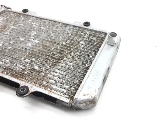 Engine Radiator Cooling 2003 Yamaha Grizzly 660 YFM660F 4x4 2448A x