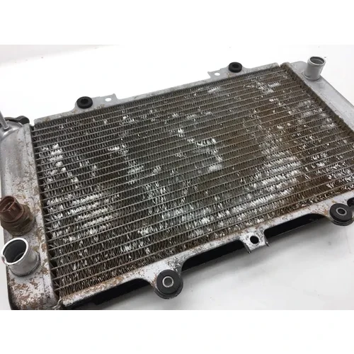 Engine Radiator Cooling 2003 Yamaha Grizzly 660 YFM660F 4x4 2448A x 4