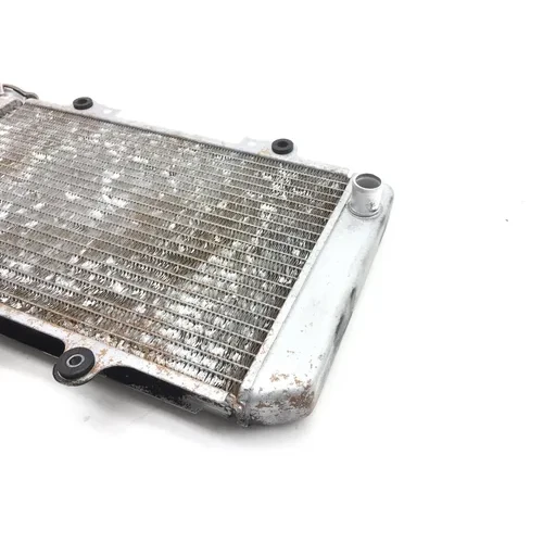Engine Radiator Cooling 2003 Yamaha Grizzly 660 YFM660F 4x4 2448A x 3