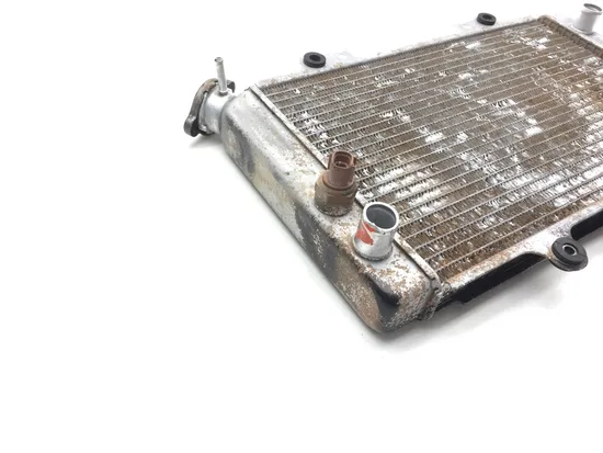 Engine Radiator Cooling 2003 Yamaha Grizzly 660 YFM660F 4x4 2448A x