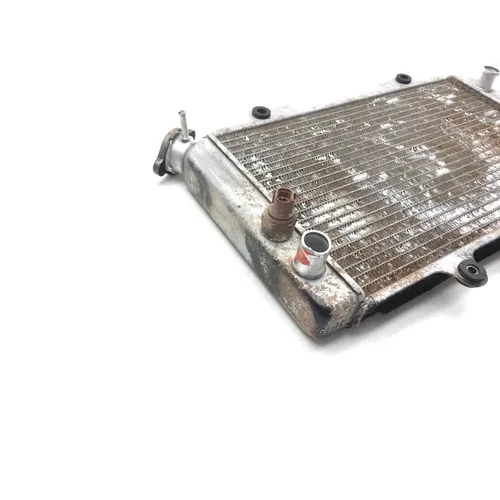 Engine Radiator Cooling 2003 Yamaha Grizzly 660 YFM660F 4x4 2448A x 2