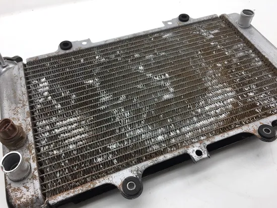 Engine Radiator Cooling 2003 Yamaha Grizzly 660 YFM660F 4x4 2448A x
