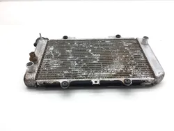 Engine Radiator Cooling 2003 Yamaha Grizzly 660 YFM660F 4x4 2448A x