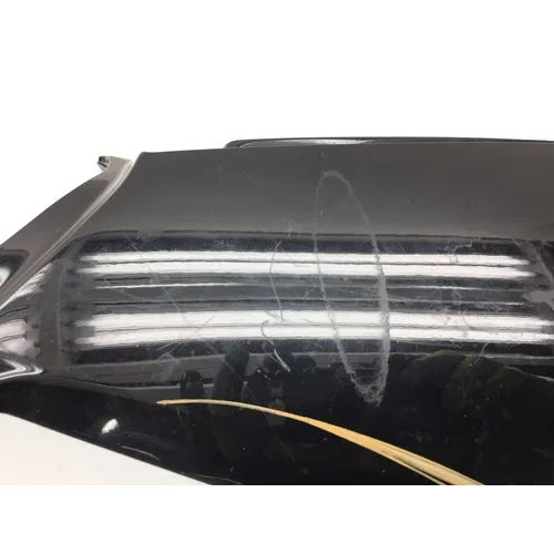 2003 Honda Golidwing 1500 GL1500 Left Lower Saddlebag Cover 2409A x 16