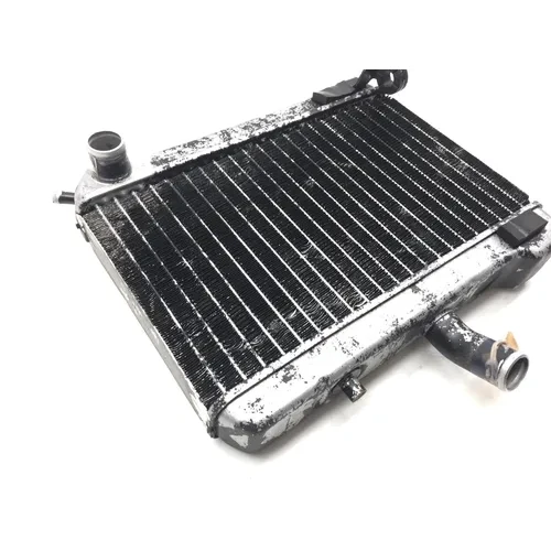 2003 Honda Golidwing 1500 GL1500 Right Side Radiator 2409A x 5