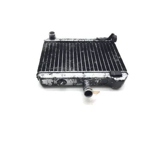 2003 Honda Golidwing 1500 GL1500 Right Side Radiator 2409A x 3