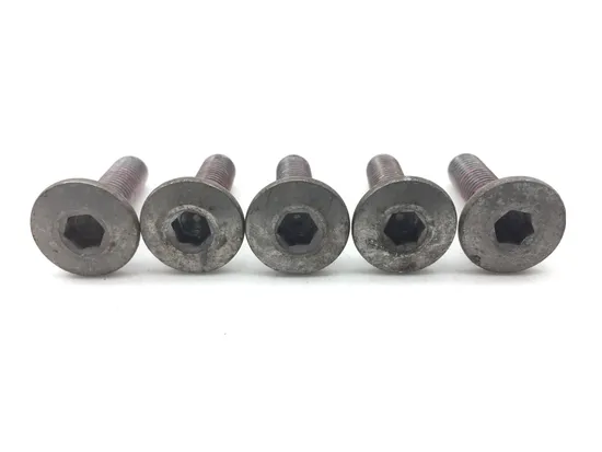 Left Right Front Brake Disc Rotor Bolts 2006 Kawasaki Ninja ZX6R ZX636C 2454