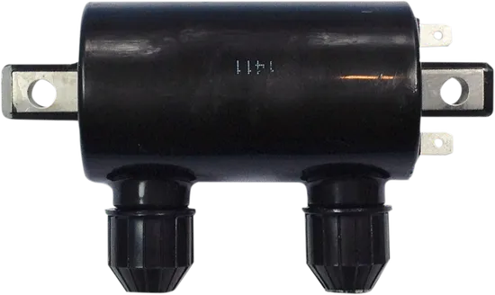 Rick's Electric Ignition Coil