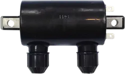 Rick's Electric Ignition Coil