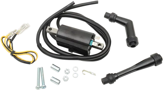 Rick's Electric Ignition Coil