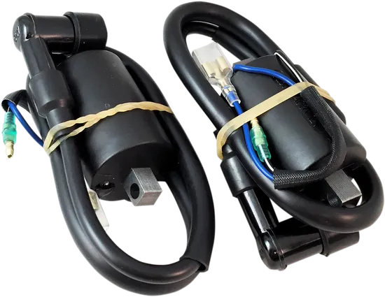 Rick's Electric Ignition Coil