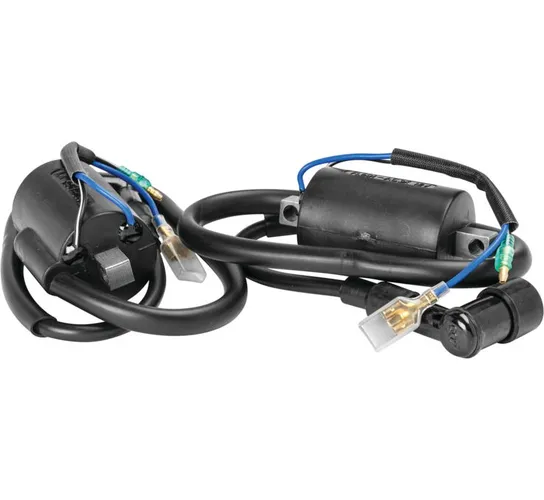 Rick's Electric Ignition Coil