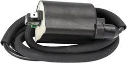Rick's Electric Ignition Coil