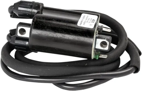 Rick's Electric Ignition Coil