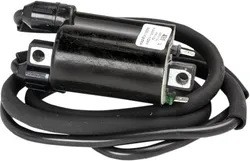 Rick's Electric Ignition Coil
