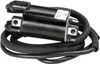 Rick's Electric Ignition Coil