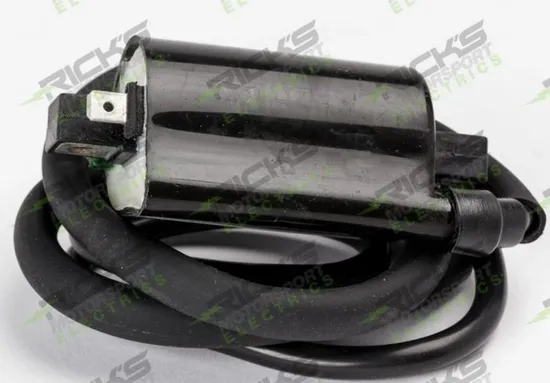 Rick's Electric Ignition Coil