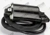 Rick's Electric Ignition Coil