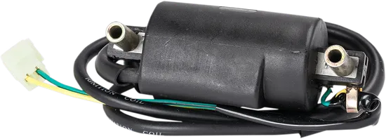 Rick's Electric Ignition Coil