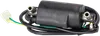 Rick's Electric Ignition Coil