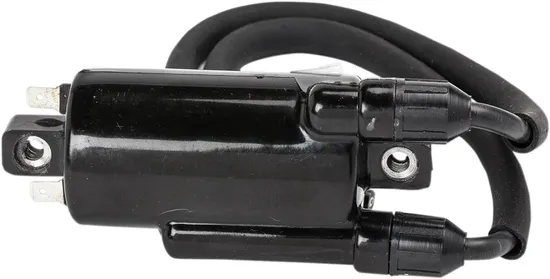 Rick's Electric Ignition Coil