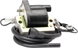 Rick's Electric Ignition Coil