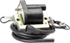 Rick's Electric Ignition Coil