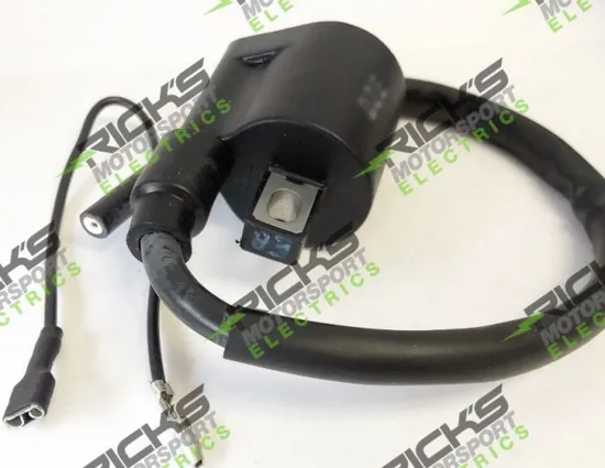 Rick's Electric Ignition Coil
