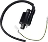 Rick's Electric Ignition Coil