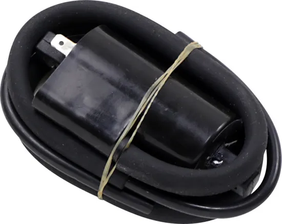 Rick's Electric Ignition Coil