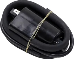 Rick's Electric Ignition Coil