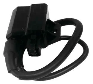 Rick's Electric Ignition Coil