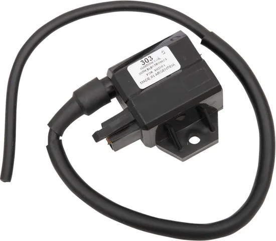 Rick's Electric Ignition Coil