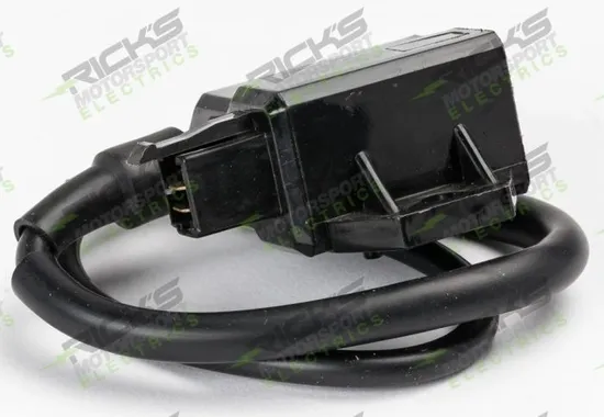 Rick's Electric Ignition Coil