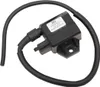 Rick's Electric Ignition Coil
